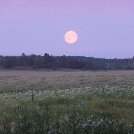 Skogis Bed & Breakfast Katrineholm község Kültér fotó