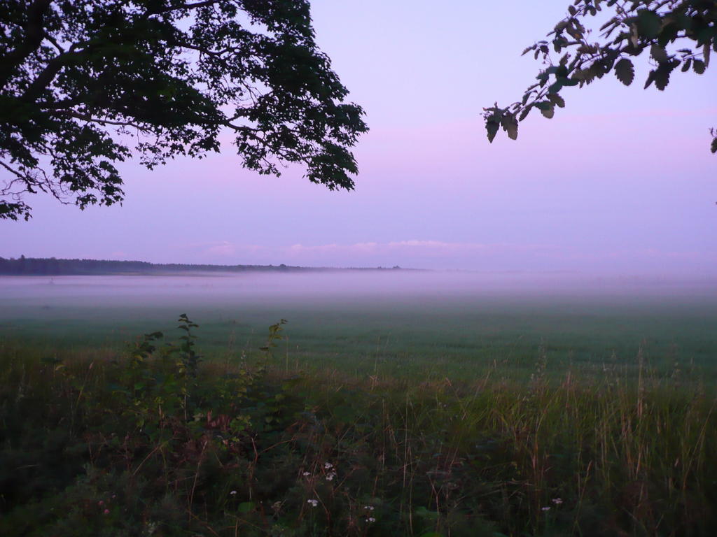 Skogis Bed & Breakfast Katrineholm község Kültér fotó