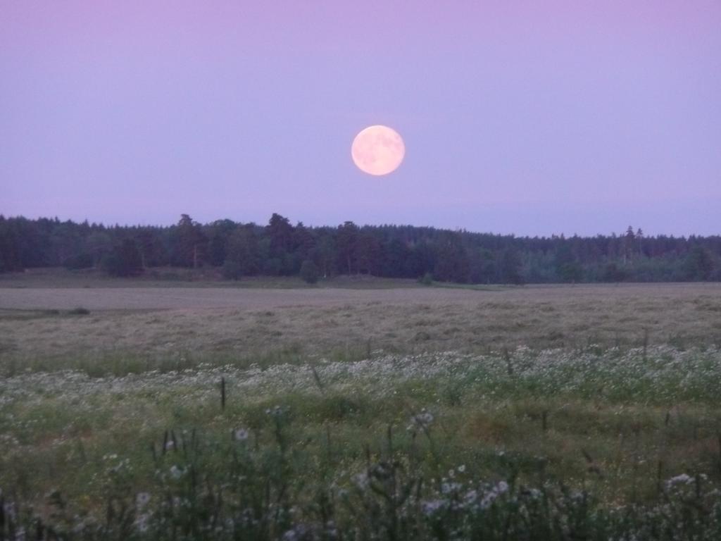 Skogis Bed & Breakfast Katrineholm község Kültér fotó