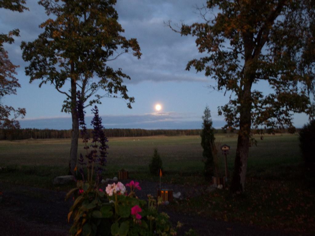 Skogis Bed & Breakfast Katrineholm község Kültér fotó